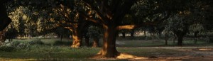 cropped-DSC07928.jpg