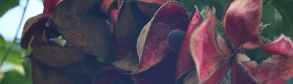 Everyday poems